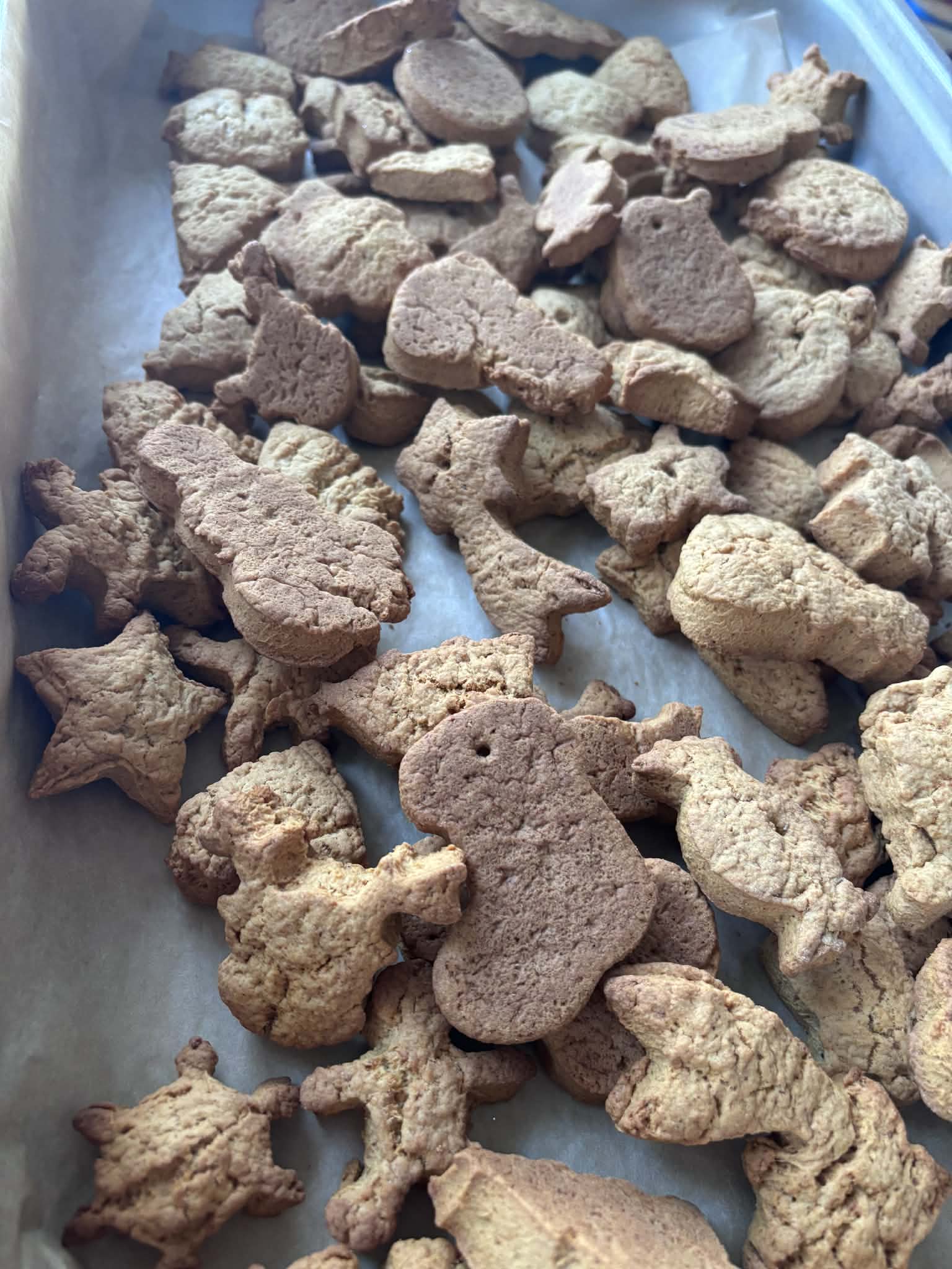 Messenger_creation_DF699D7C-C499-441C-B88B-6F1FEB2282CF.jpeg (228 KB)