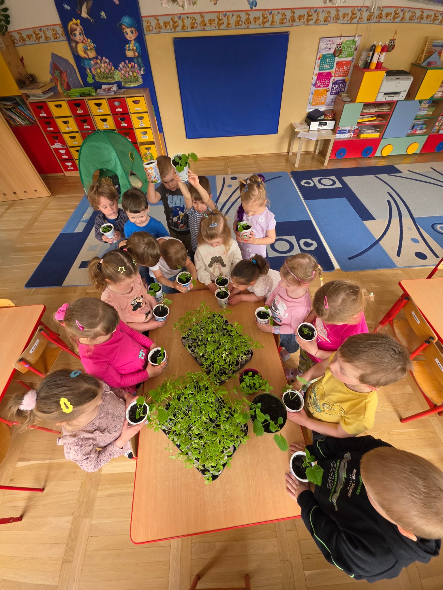 bf1a4774-2c62-44e1-b0d6-68ccec5888b1.jpg (498 KB)