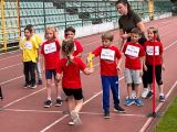 Biegi Przedszkolaków, 