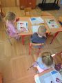 Sówki kolory podstawowe,