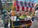 Motylki na kiermaszu, 